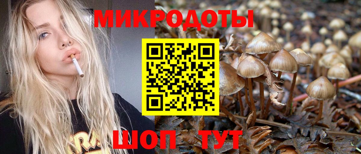 Галлюциногенные грибы прущие грибы Электросталь