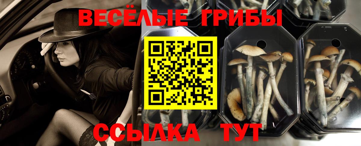 Псилоцибиновые грибы мухоморы  Электросталь 